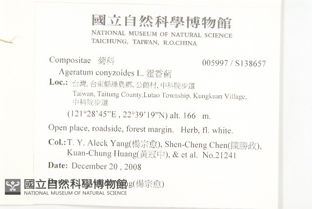 霍香薊藏品圖，第2張