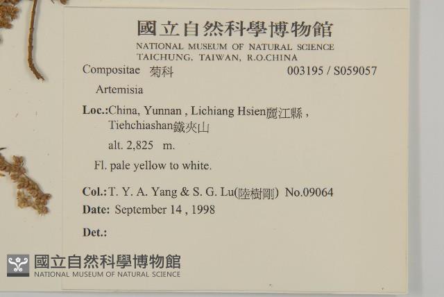 登錄號:S059057藏品圖，第2張