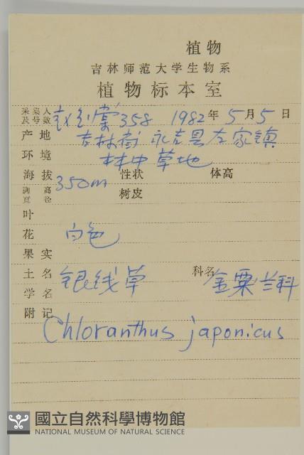 銀線草藏品圖，第2張