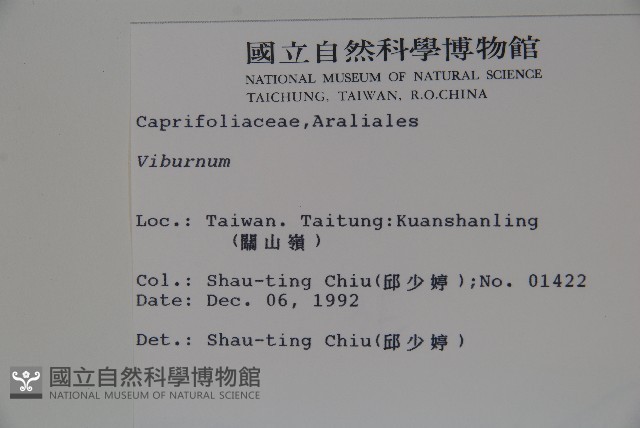 登錄號:S009757藏品圖，第2張