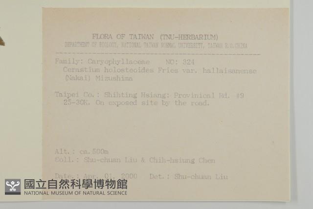 卷耳藏品圖，第2張