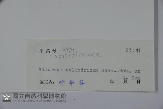 水紅木藏品圖，第2張