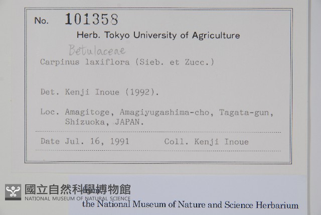 登錄號:S128157藏品圖，第2張