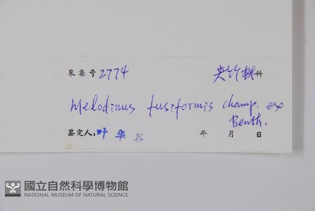 尖山橙藏品圖，第2張