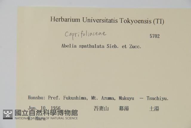 登錄號:S081957藏品圖，第2張