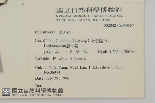 登錄號:S049557藏品圖，第2張