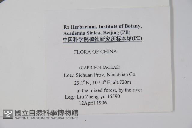 登錄號:S048557藏品圖，第2張