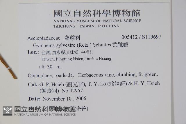 武靴藤藏品圖，第2張