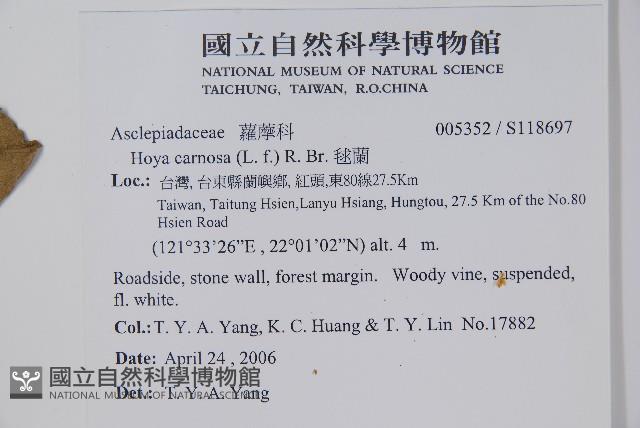 毬蘭藏品圖，第2張