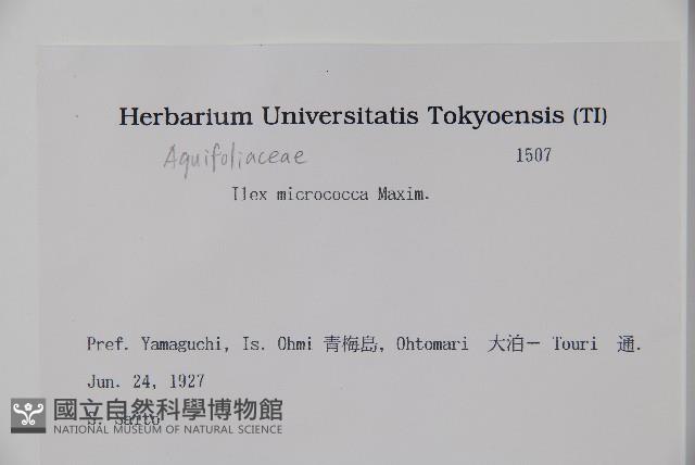 朱紅水木藏品圖，第2張