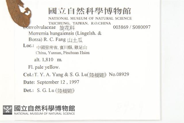 山土瓜藏品圖，第2張