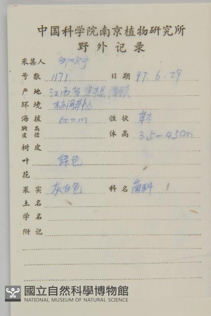 霍香薊藏品圖，第2張