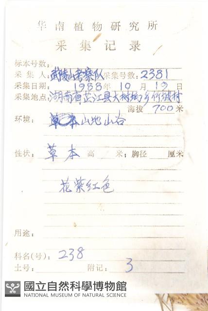 登錄號:S038797藏品圖，第2張