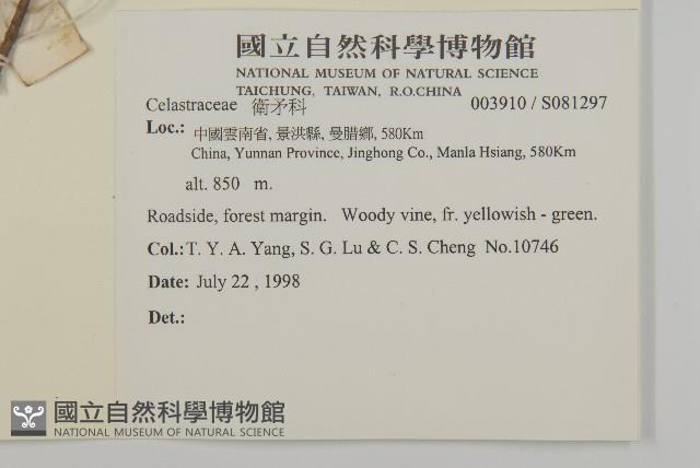 登錄號:S081297藏品圖，第2張