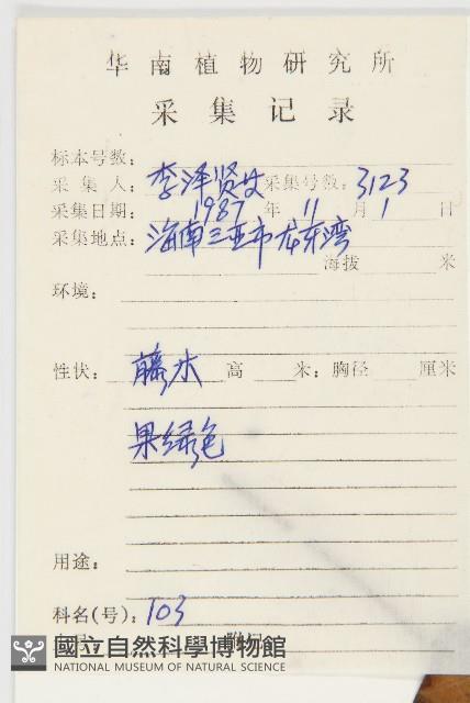 雙輪瓜藏品圖，第2張