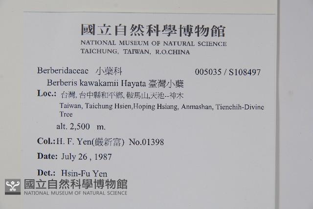 臺灣小蘗藏品圖，第2張