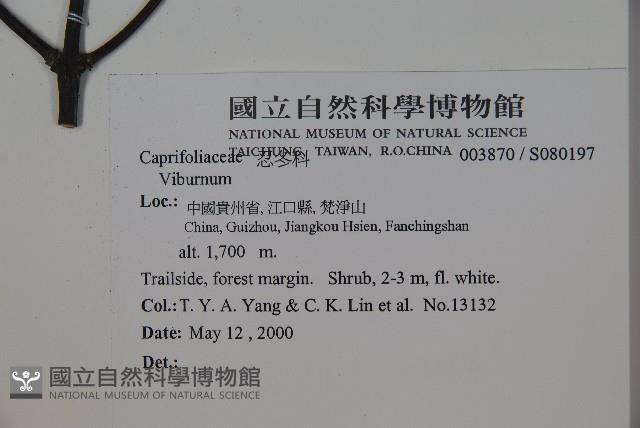 登錄號:S080197藏品圖，第2張