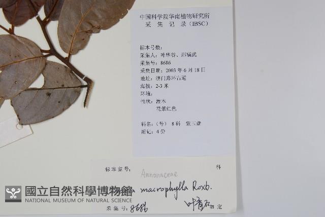 登錄號:S129197藏品圖，第2張