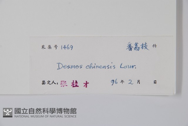 假鷹爪藏品圖，第2張