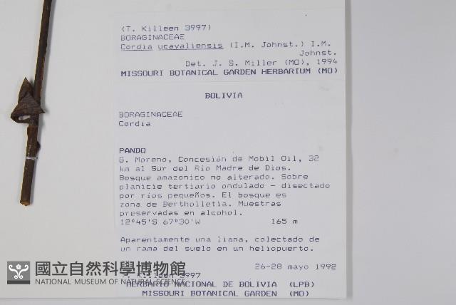 登錄號:S018397藏品圖，第2張