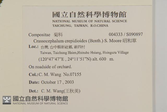 昭和草藏品圖，第2張