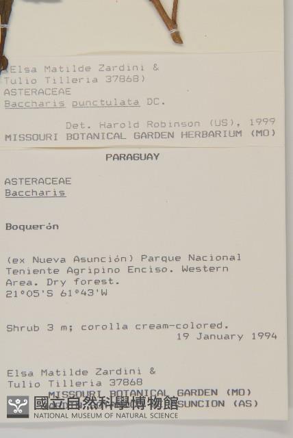 登錄號:S080597藏品圖，第2張