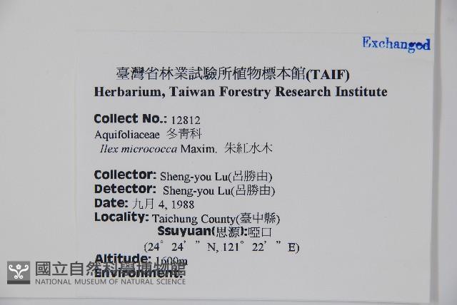 朱紅水木藏品圖，第2張