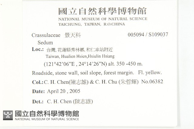 登錄號:S109037藏品圖，第2張
