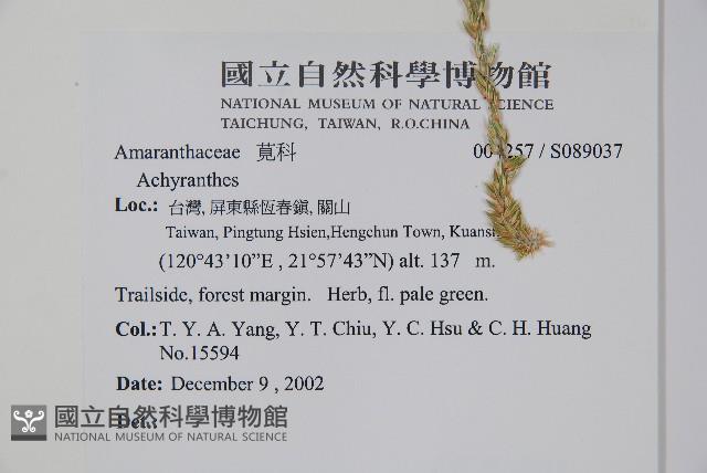 登錄號:S089037藏品圖，第2張