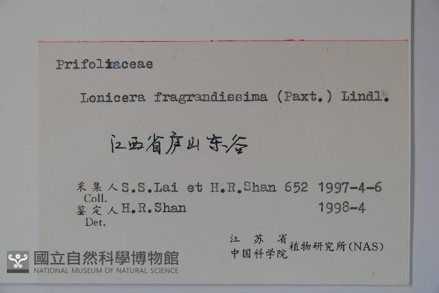 四月紅藏品圖，第2張