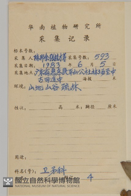 南華南蛇藤，青江藤藏品圖，第2張