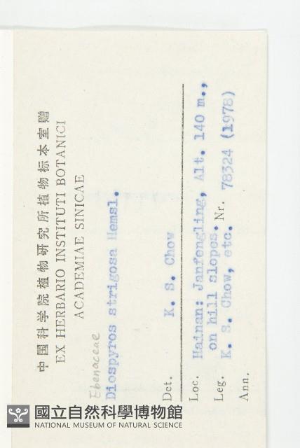 毛柿藏品圖，第2張