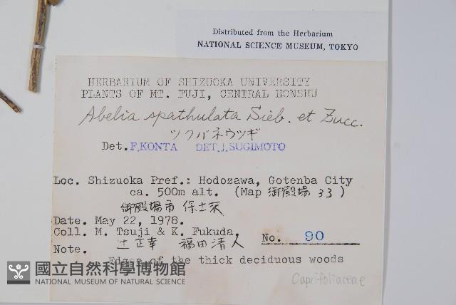 登錄號:S049137藏品圖，第2張