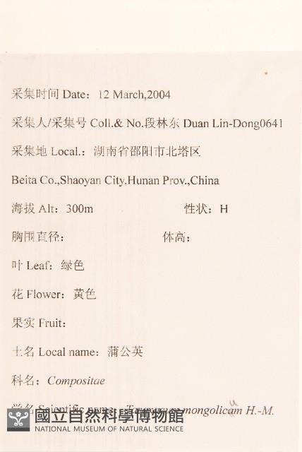 蒲公英藏品圖，第2張