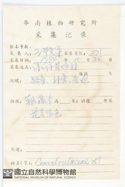 番仔藤藏品圖，第2張