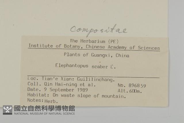 燈豎朽藏品圖，第2張
