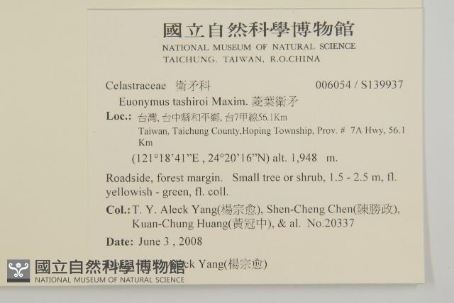 菱葉衛矛藏品圖，第2張