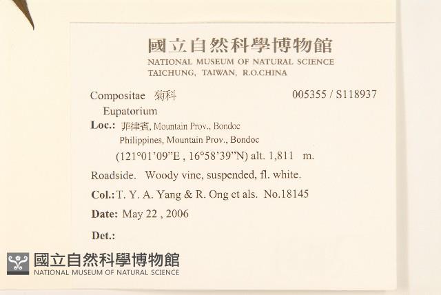 登錄號:S118937藏品圖，第2張