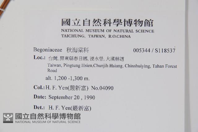 登錄號:S118537藏品圖，第2張