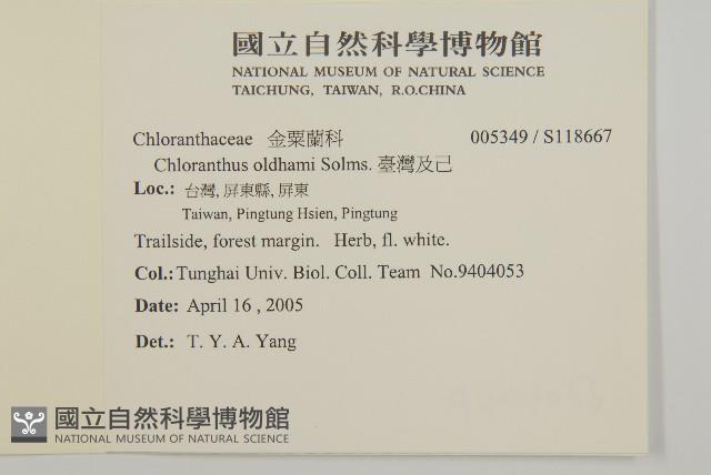 臺灣及己藏品圖，第2張