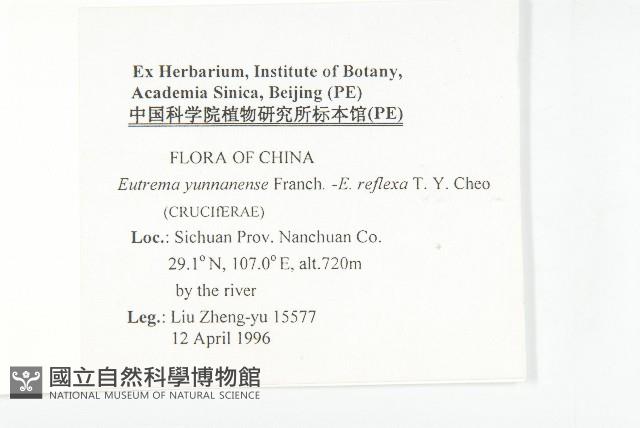 山俞菜藏品圖，第2張