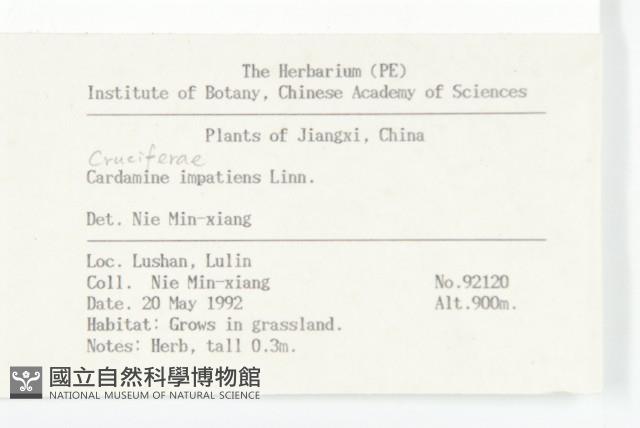 Accession Number:S019067 Collection Image, Figure 2, Total 2 Figures