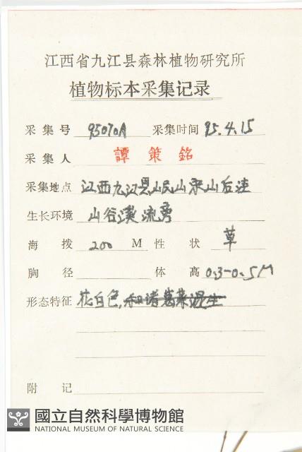 諸葛菜藏品圖，第2張