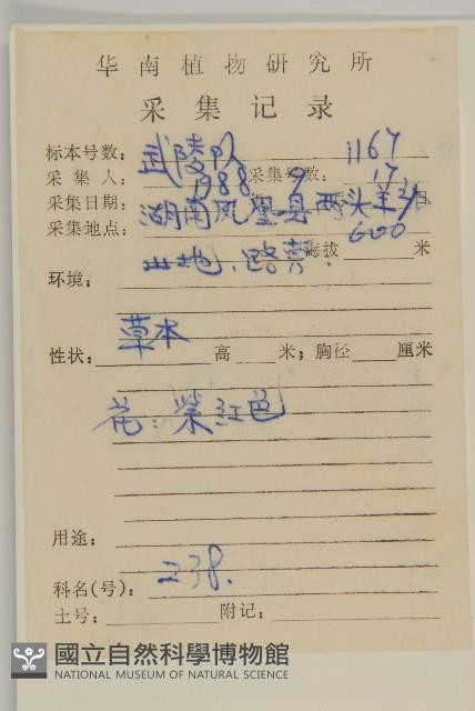 華薊藏品圖，第2張