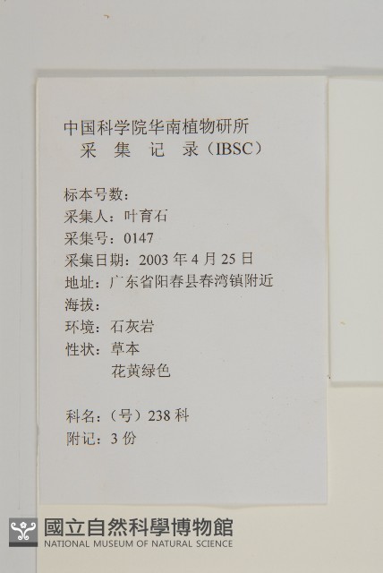 茵蔯蒿藏品圖，第2張