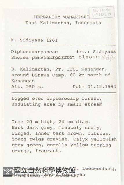 登錄號:S058767藏品圖，第2張