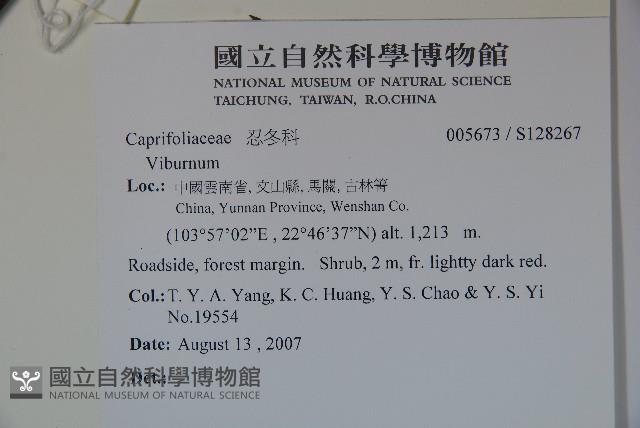 登錄號:S128267藏品圖，第2張