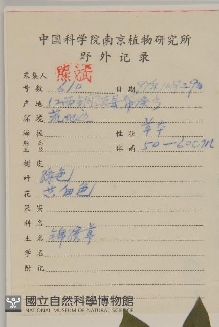 天名精藏品圖，第2張