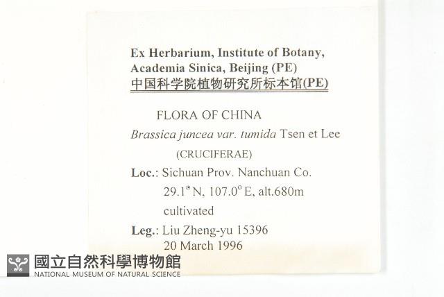 榨菜藏品圖，第2張