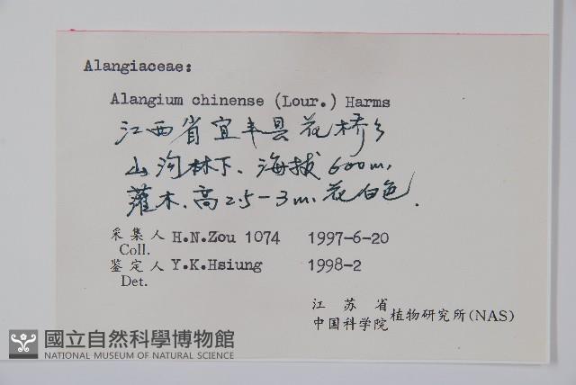 八角楓藏品圖，第2張